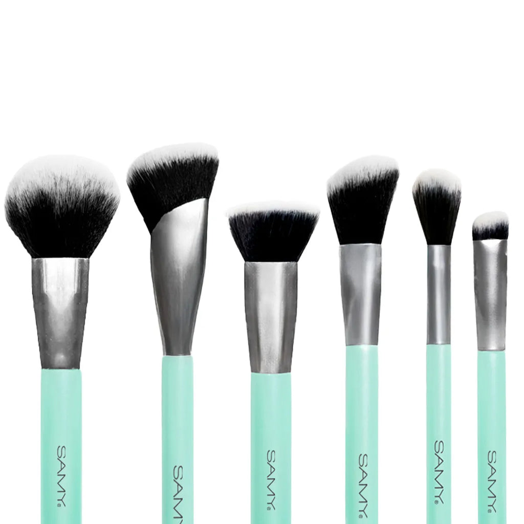 Set De Brochas Samy X 12 Und #Providencia