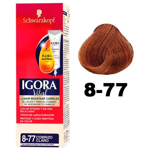 Igora Cobrizo Claro 8.77